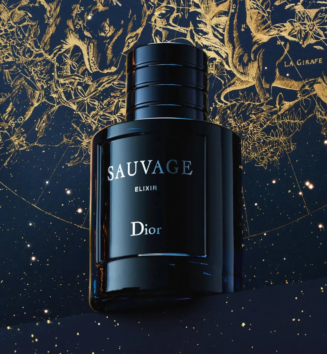 Sauvage Elixir Dior / 100ml